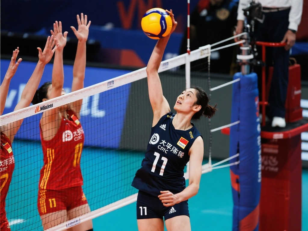 发挥各自的 发挥各自的